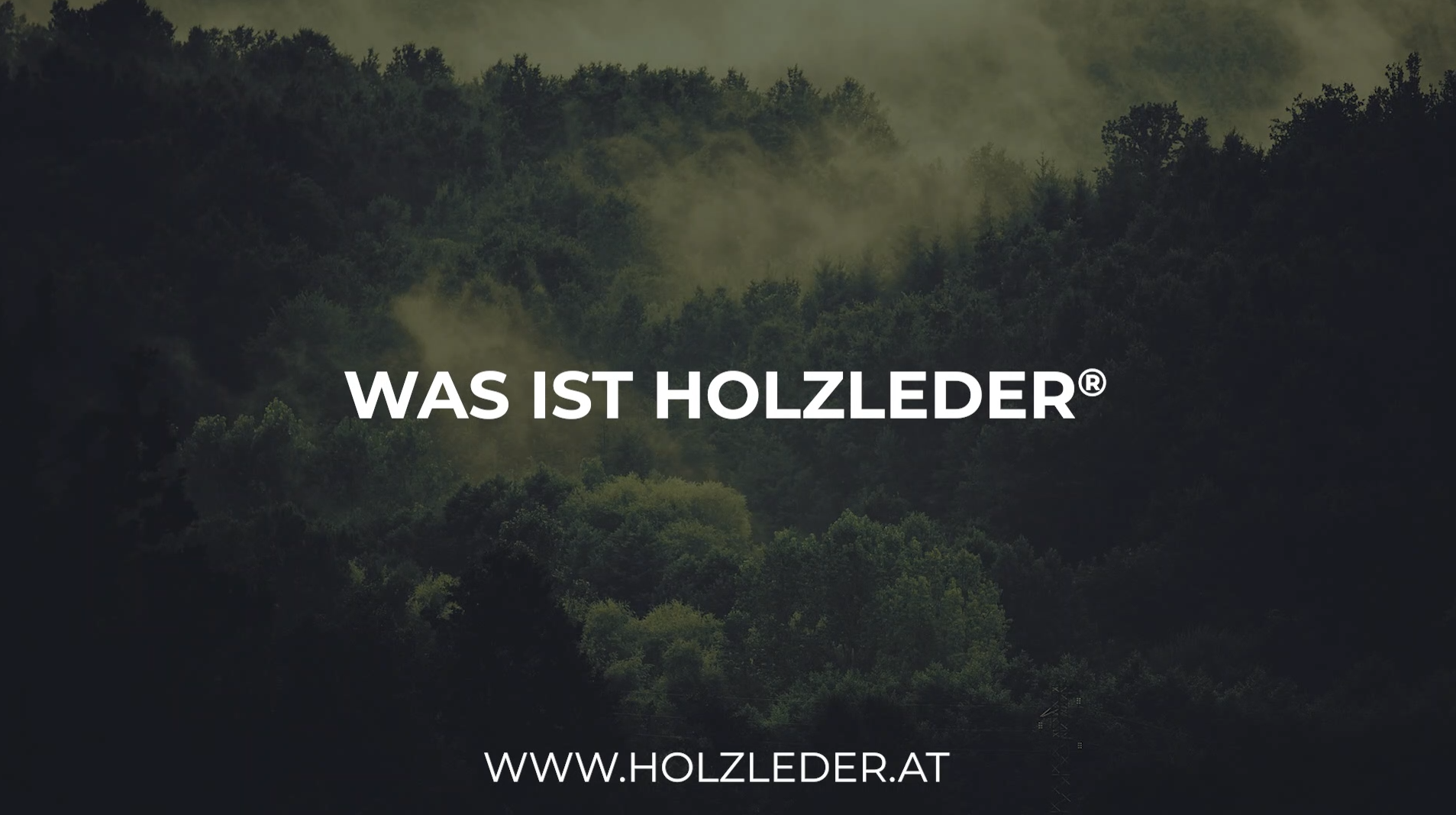 Load video: Holzleder® wird aus Holzfasern gewonnen, welche mehrschichtig vernetzt werden. Somit entsteht ein reiß- und abriebfestes Material, welches wie Leder verarbeitet wird, im Unterschied zu diesem aber Wasser unempfindlich ist und nur 1/4 des Gewichts hat.